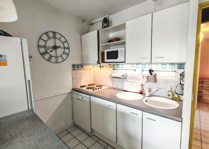 Climatise Avec Parking Prive - Argeles-sur-mer - 4 Personnes - Fr-1-732-113 公寓